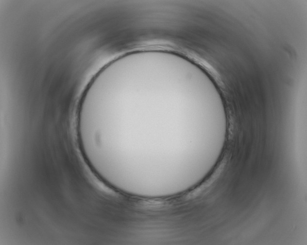 X0000113991470200910021000