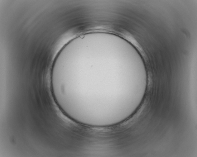 X0000113991474200910021000