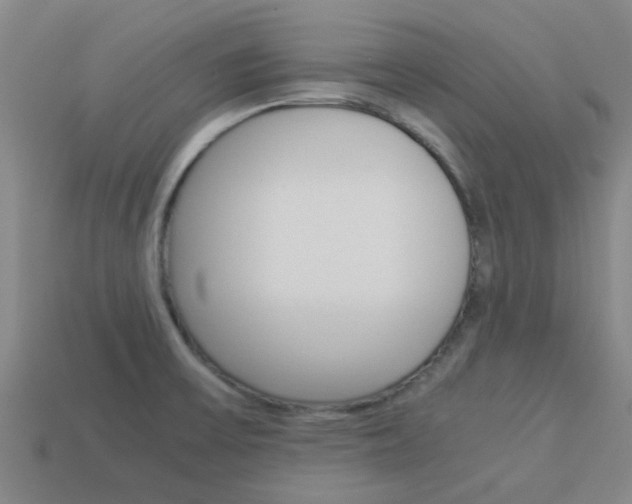 X0000113991475200910021000