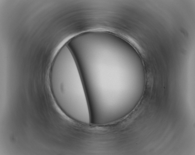X0000113991476200910021000