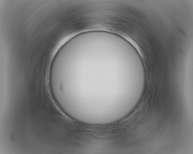 X0000113991477200910021000