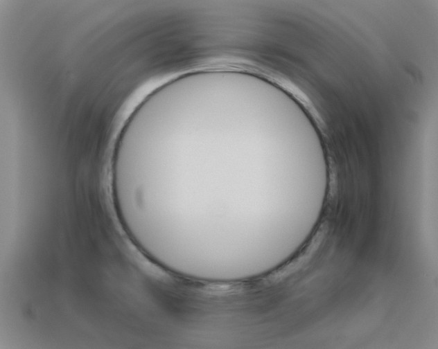 X0000113991478200910021000