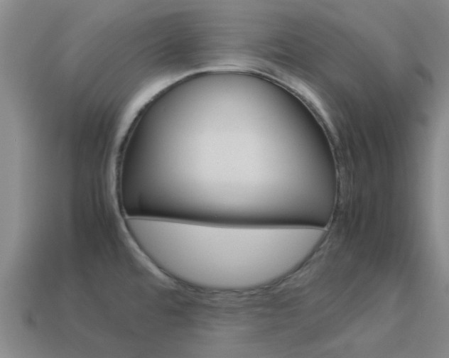 X0000113991480200910021000