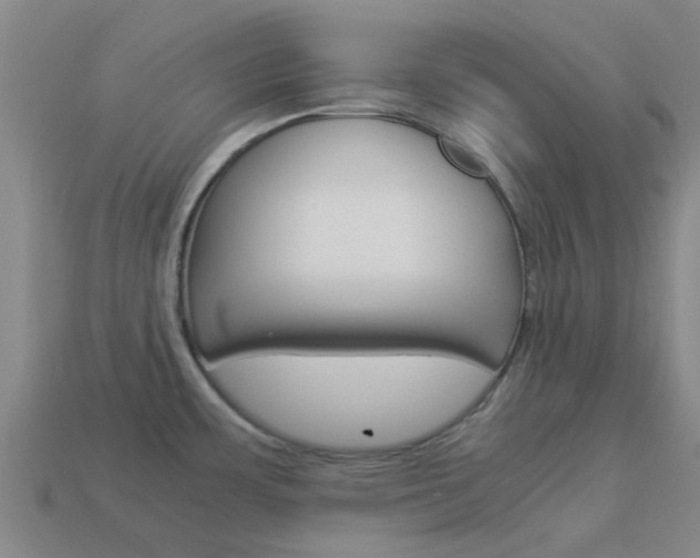 X0000113991483200910021000