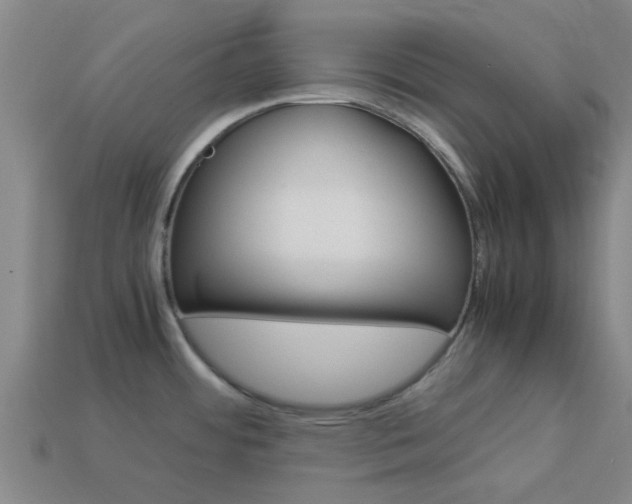 X0000113991484200910020959