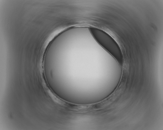 X0000113991485200910020959
