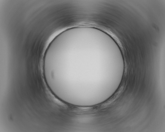 X0000113991486200910020959