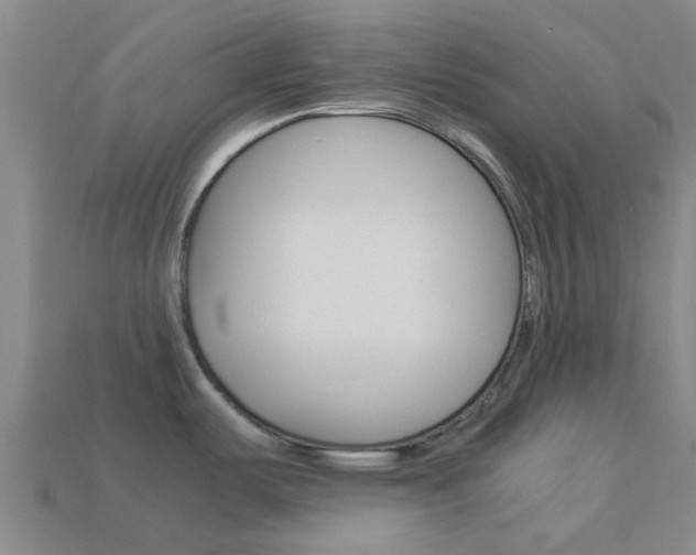 X0000113991487200910020959