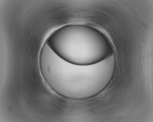 X0000113991488200910020959