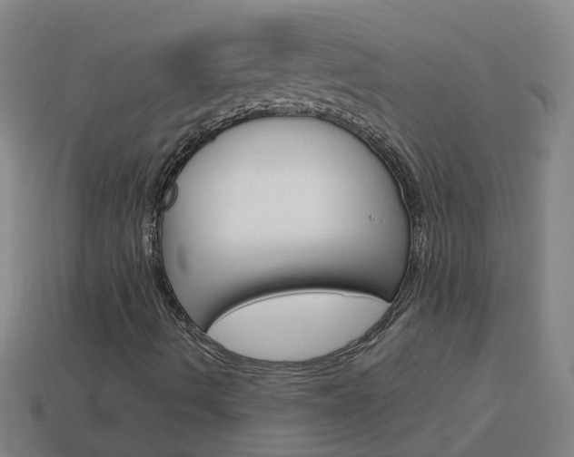 X0000113991490200910020959