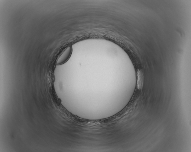 X0000113991491200910020959