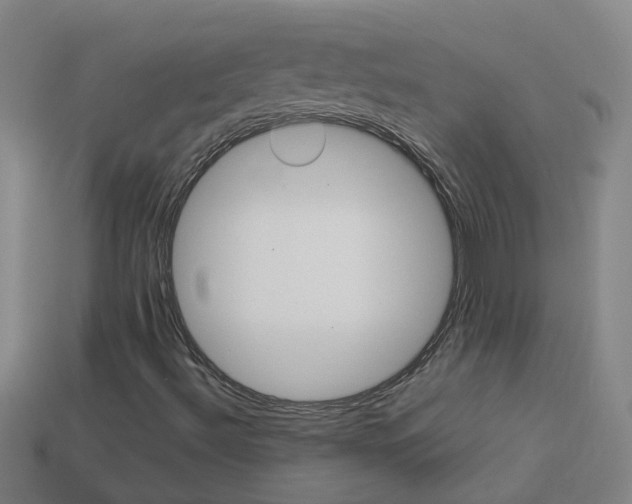 X0000113991492200910020959