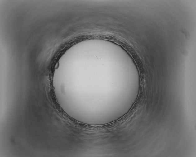 X0000113991493200910020959