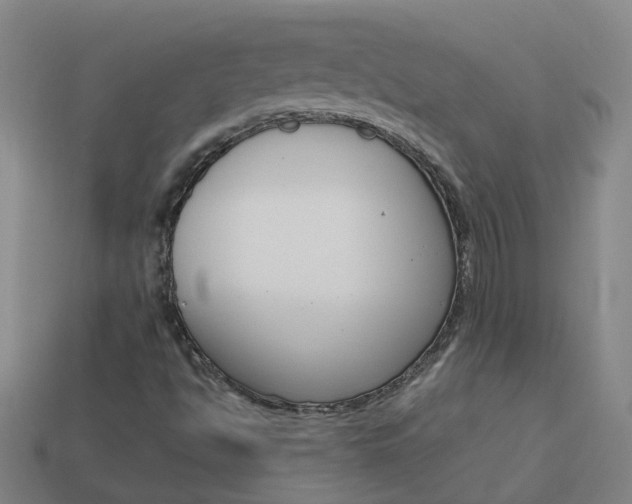 X0000113991494200910020959
