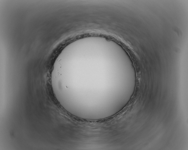 X0000113991495200910020959