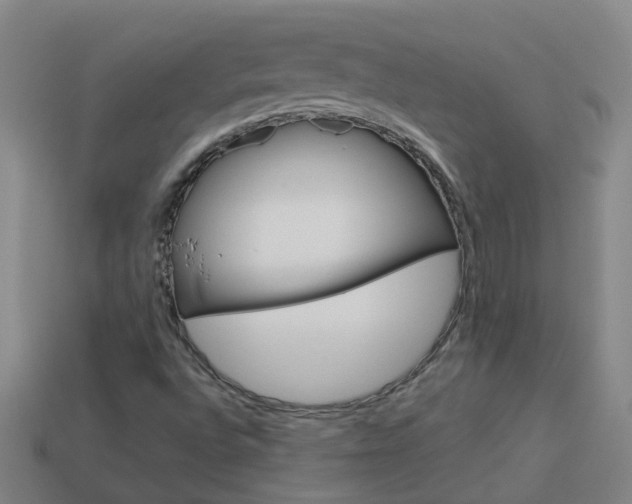 X0000113991496200910020959