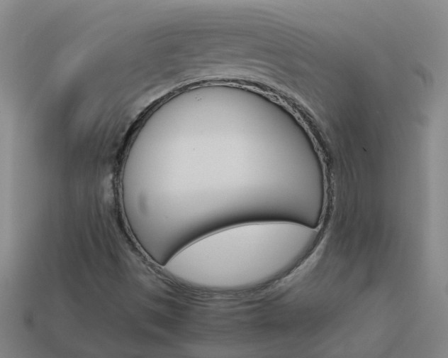 X0000113991497200910020959