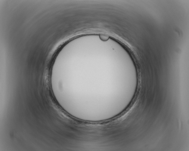 X0000113991498200910020959