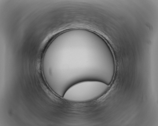 X0000113991499200910020959