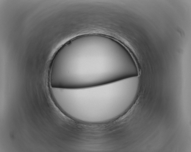X0000113991500200910020959