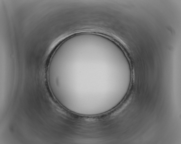 X0000113991501200910020959