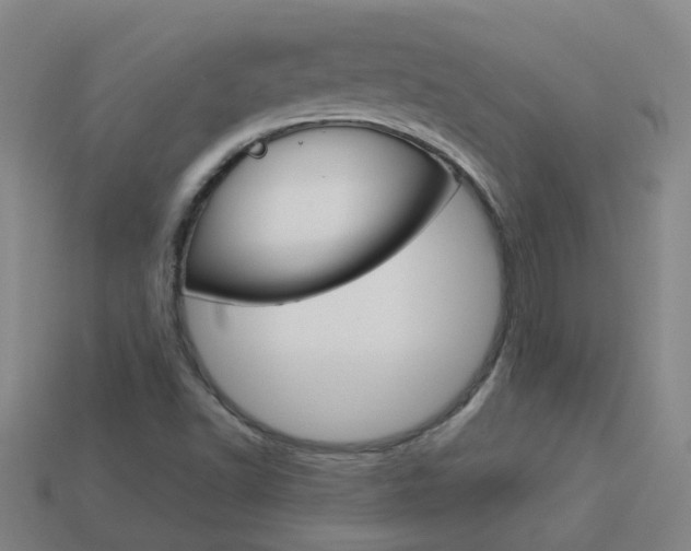 X0000113991502200910020959