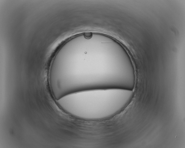 X0000113991503200910020959