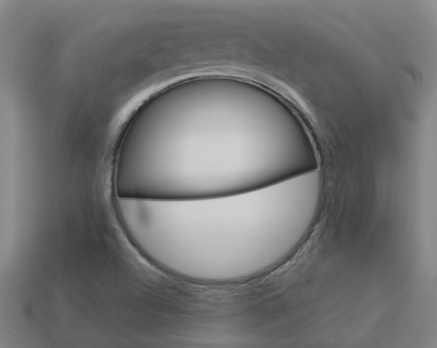 X0000113991504200910020959