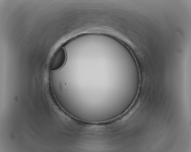 X0000113991506200910020959