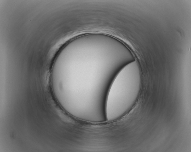 X0000113991507200910020959