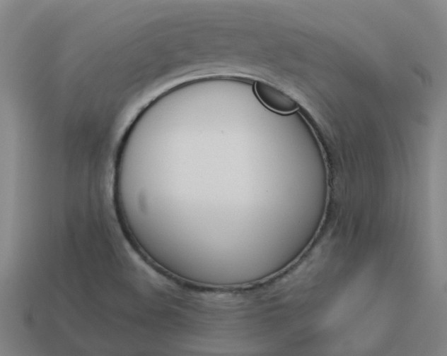 X0000113991508200910020959