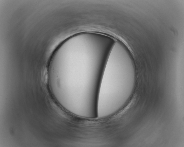 X0000113991509200910020959