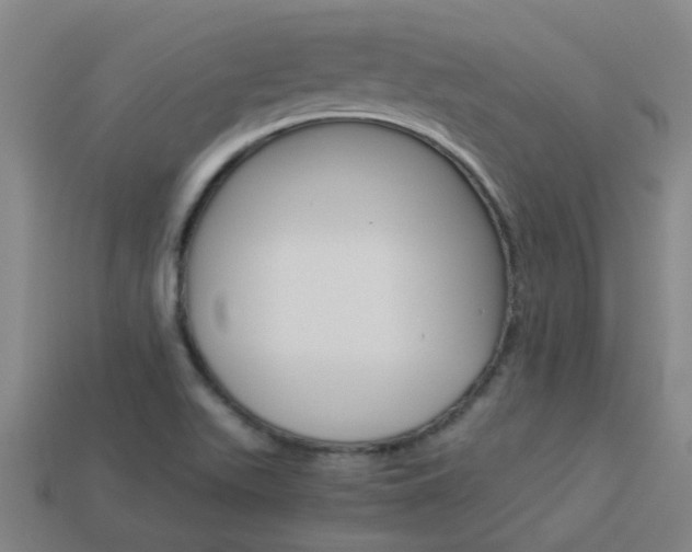 X0000113991511200910020959