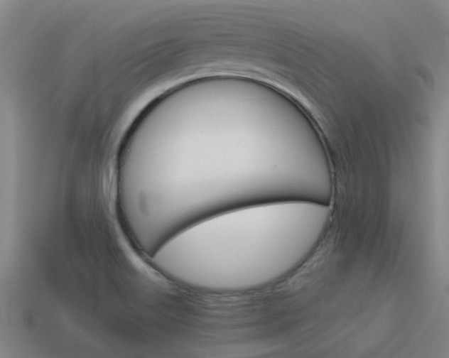 X0000113991515200910020959