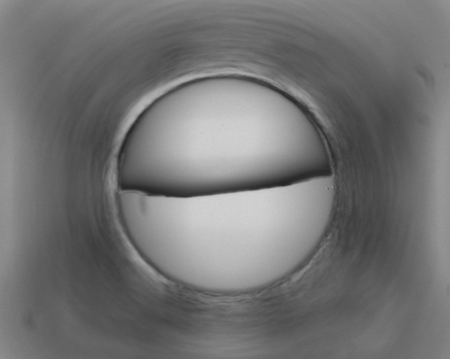 X0000113991516200910020959