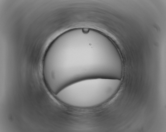 X0000113991517200910020959