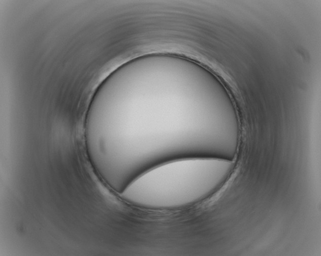 X0000113991521200910020959
