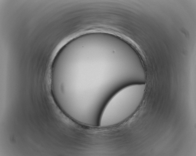 X0000113991522200910020959