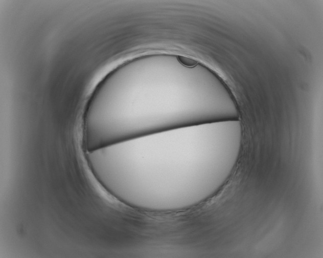 X0000113991523200910020959