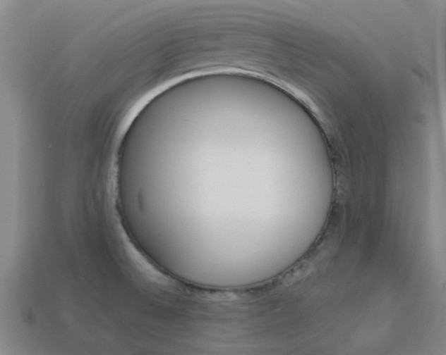 X0000113991524200910020959