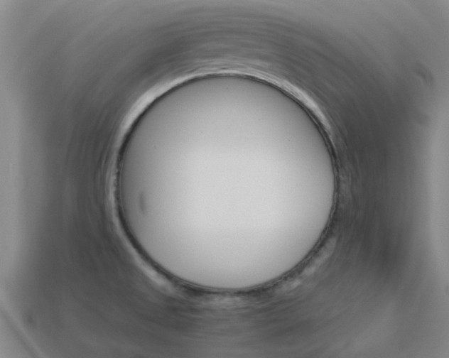 X0000113991525200910020959
