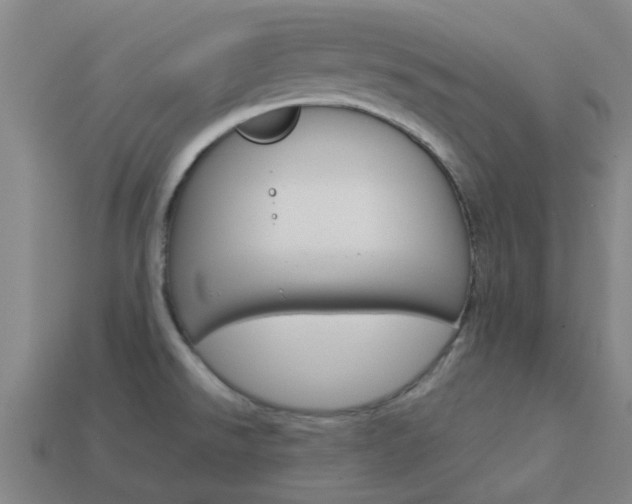 X0000113991526200910020959