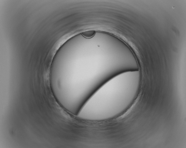 X0000113991529200910020959