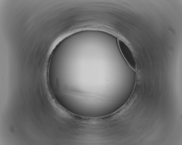 X0000113991530200910020959