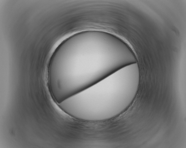 X0000113991531200910020959