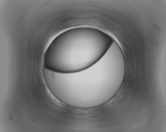 X0000113991532200910020959