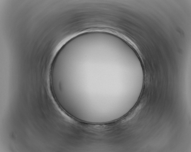 X0000113991533200910020959