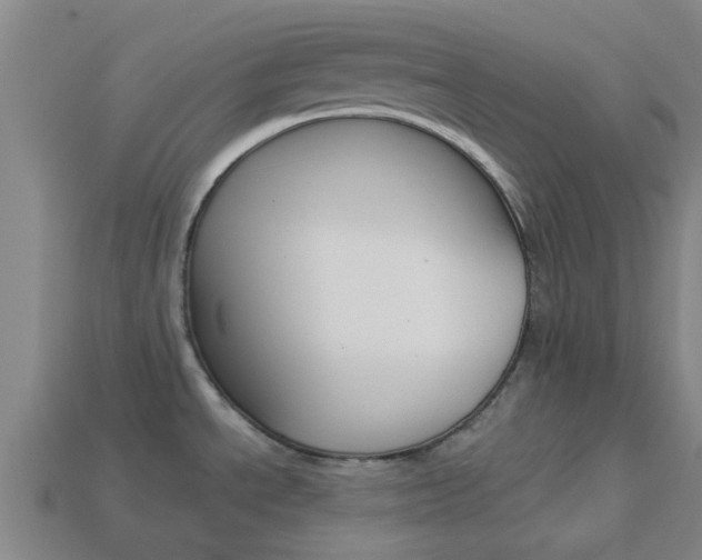 X0000113991534200910020959
