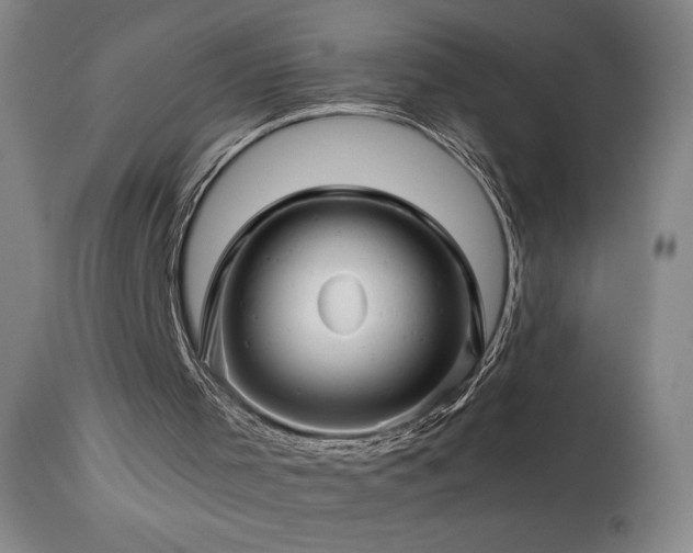 X0000113990001200910021234