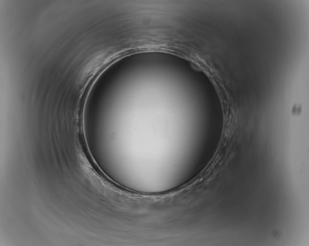 X0000113990002200910021234